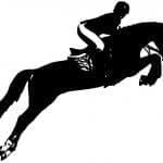 DIY custom iron on horse decal for T Shirts, show jumping with a female rider.